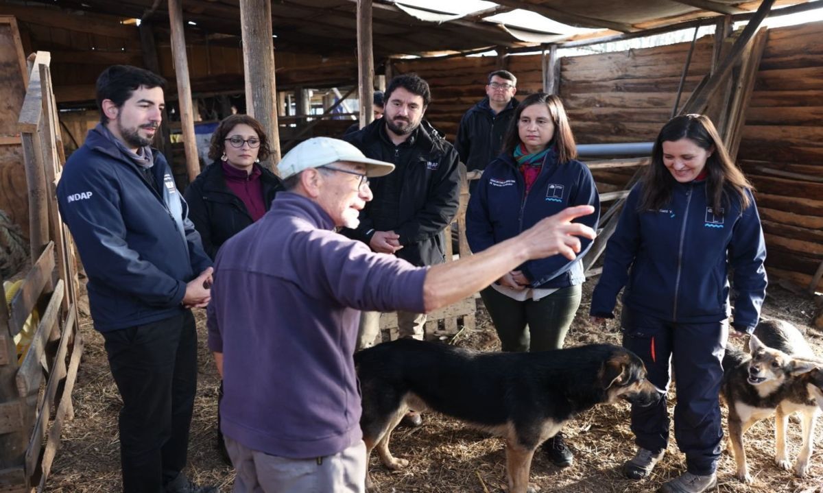 Minagri inicia despliegue de “Ayudas Tempranas” con entrega de 30 toneladas de alimento animal a agricultores de la región del Biobío