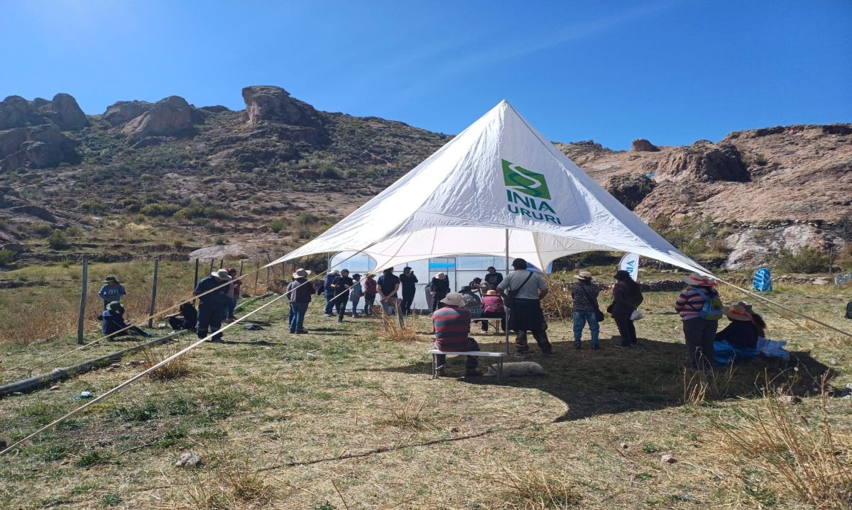 Productores de pueblos originarios aprendieron sobre eficiencia hídrica en programa CONADI ejecutado por INIA Ururi