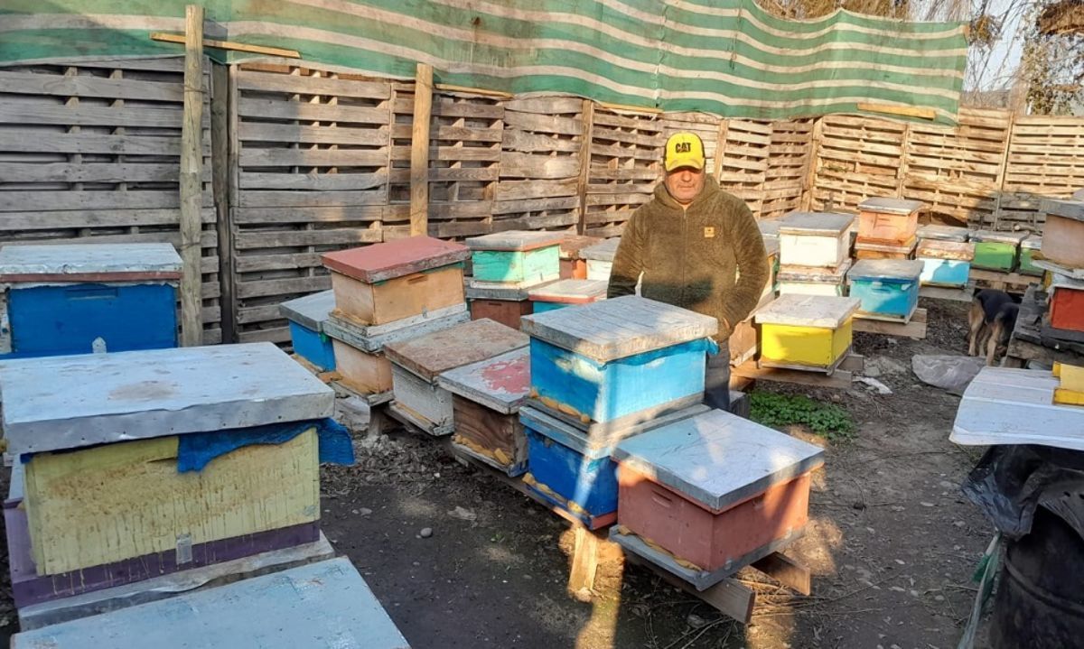 Entregan incentivos de recuperación a más de 500 apicultores de O’Higgins afectados por eventos climáticos
