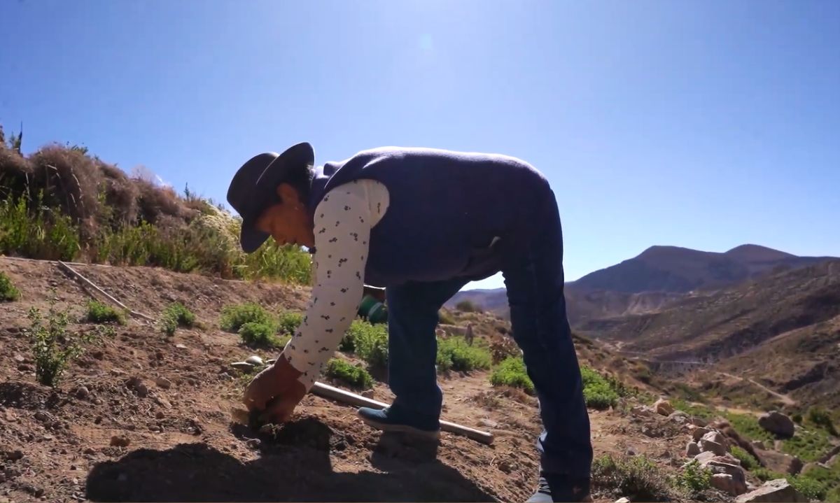 Mujer en el agro: ¿Qué instancias promueven su participación?