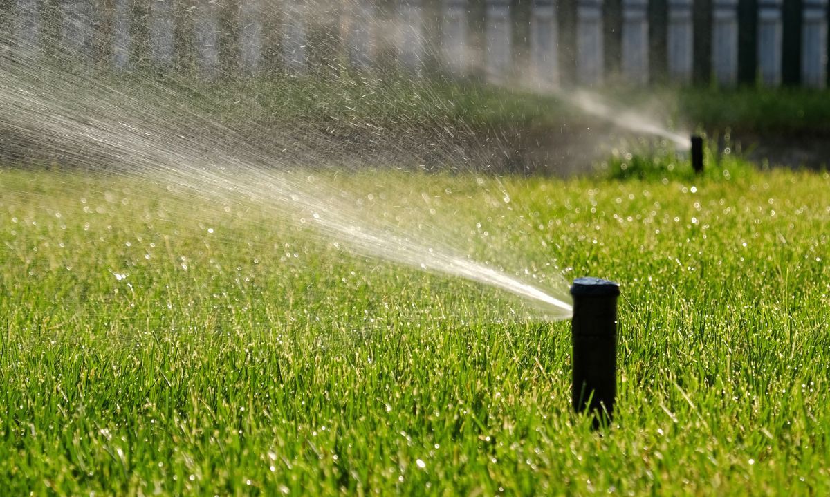 Sostenibilidad y gestión del agua: Un desafío creciente para la agricultura chilena