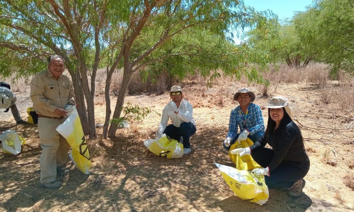 Lomas Bayas y comunidad cosechan los frutos del algarrobo