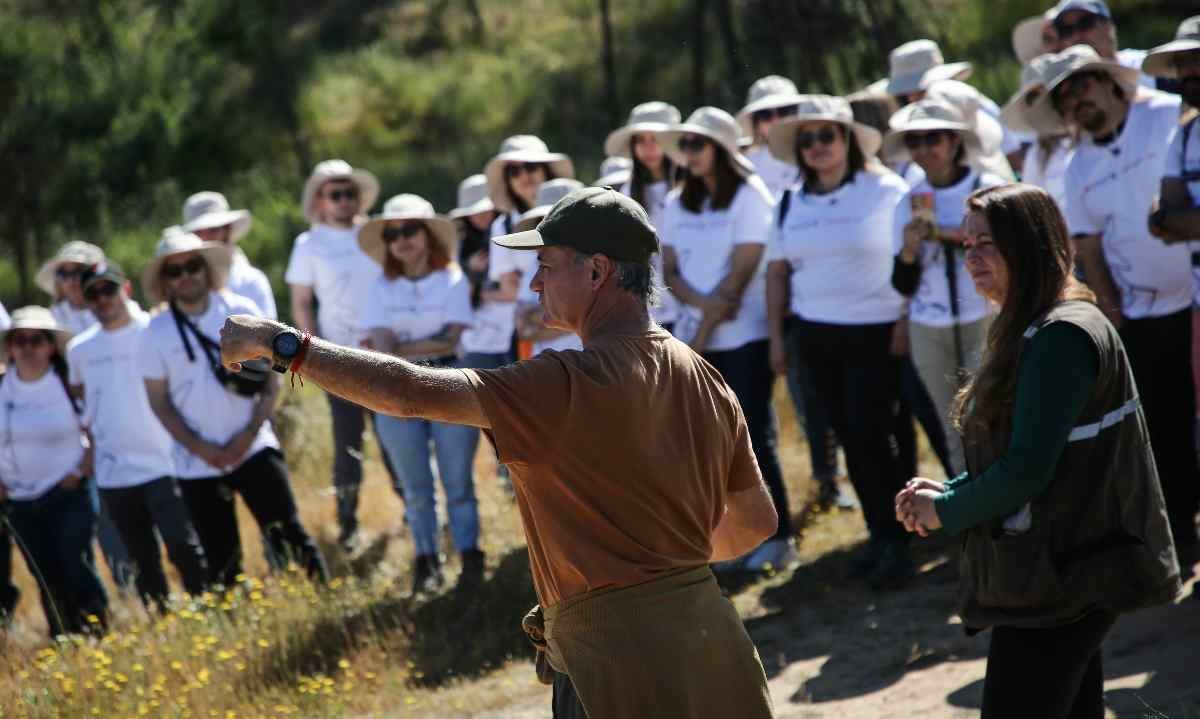 Desafío Levantemos Chile y el Consejo Minero impulsan reforestación del Jardín Botánico de Viña del Mar