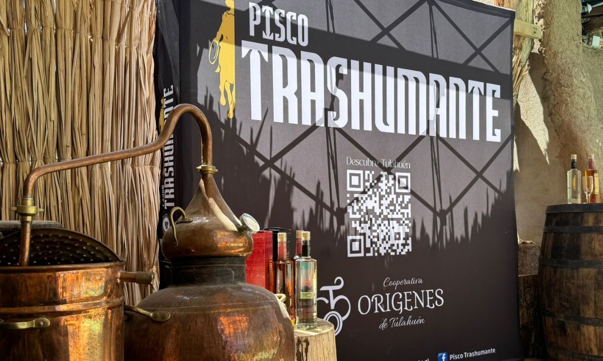 Lanzan proyecto para producir pisco artesanal y sustentable en Coquimbo